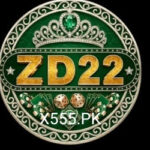 ZD22